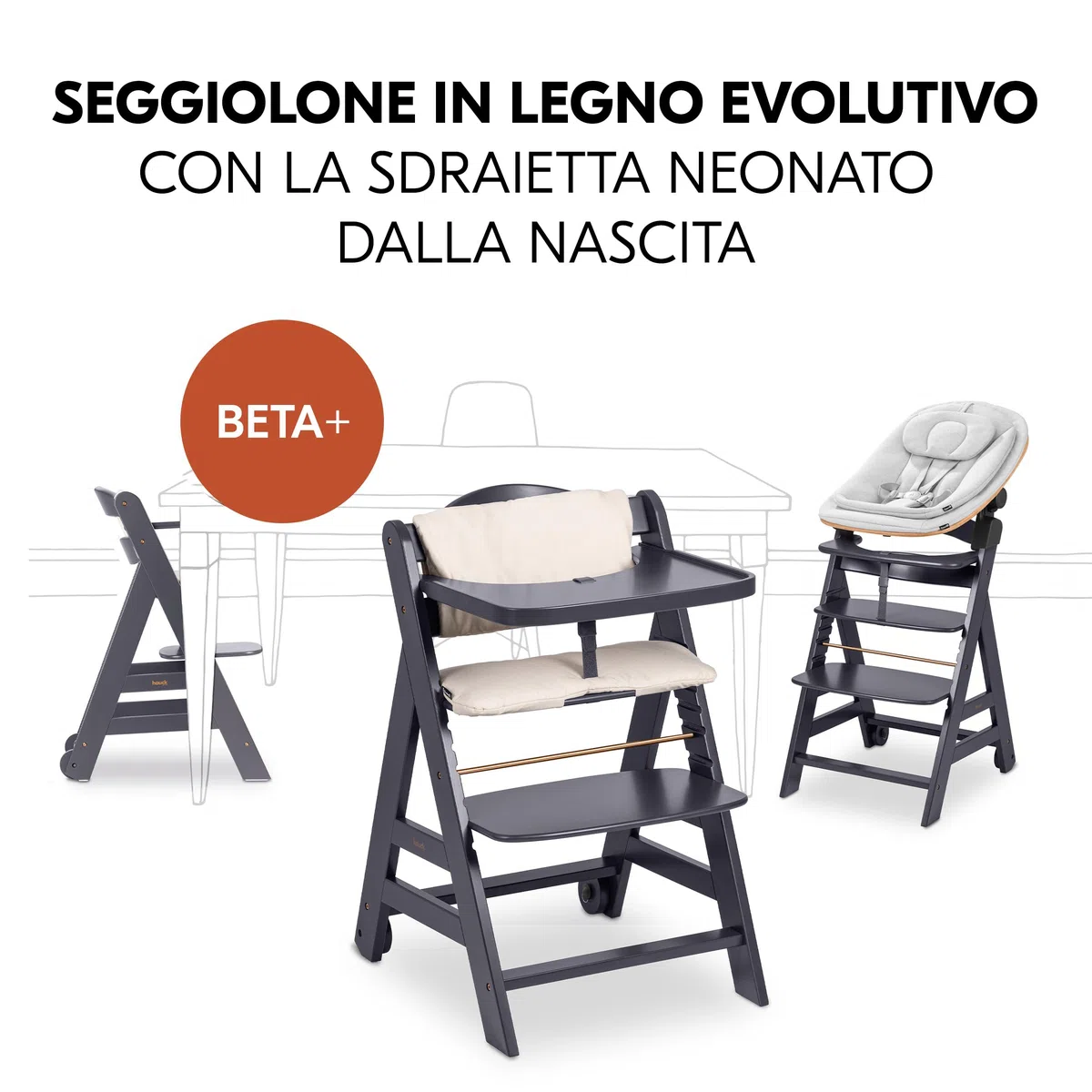 hauck Seggiolone Beta+ Newborn Set Eco Bouncer - Sediolone Pappa Bimbi in Legno Da 0 Mesi con Sdraietta Neonati Dondolo, Cuscino e Vassoio - (Grigio scuro)