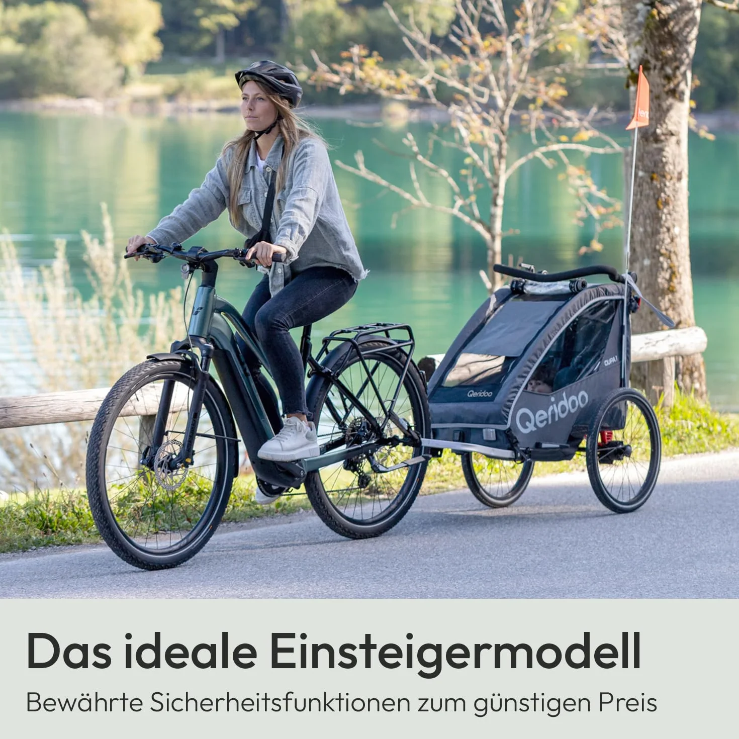 Rimorchi per bicicletta marca QERIDOO. Modello Kinderfahrradanhänger & Buggy QUPA 1 für 1 Kind mit Kupplung, Blattfeder-Dämpfsystem (bis 50 kg) - Grigio