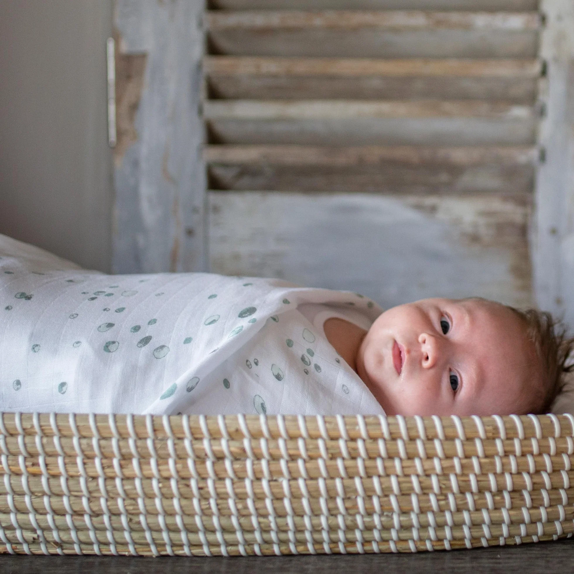 Little Bamboo Baby Wrap Zestaw 3 teli mussola 120x120 cm Grigio Whisper