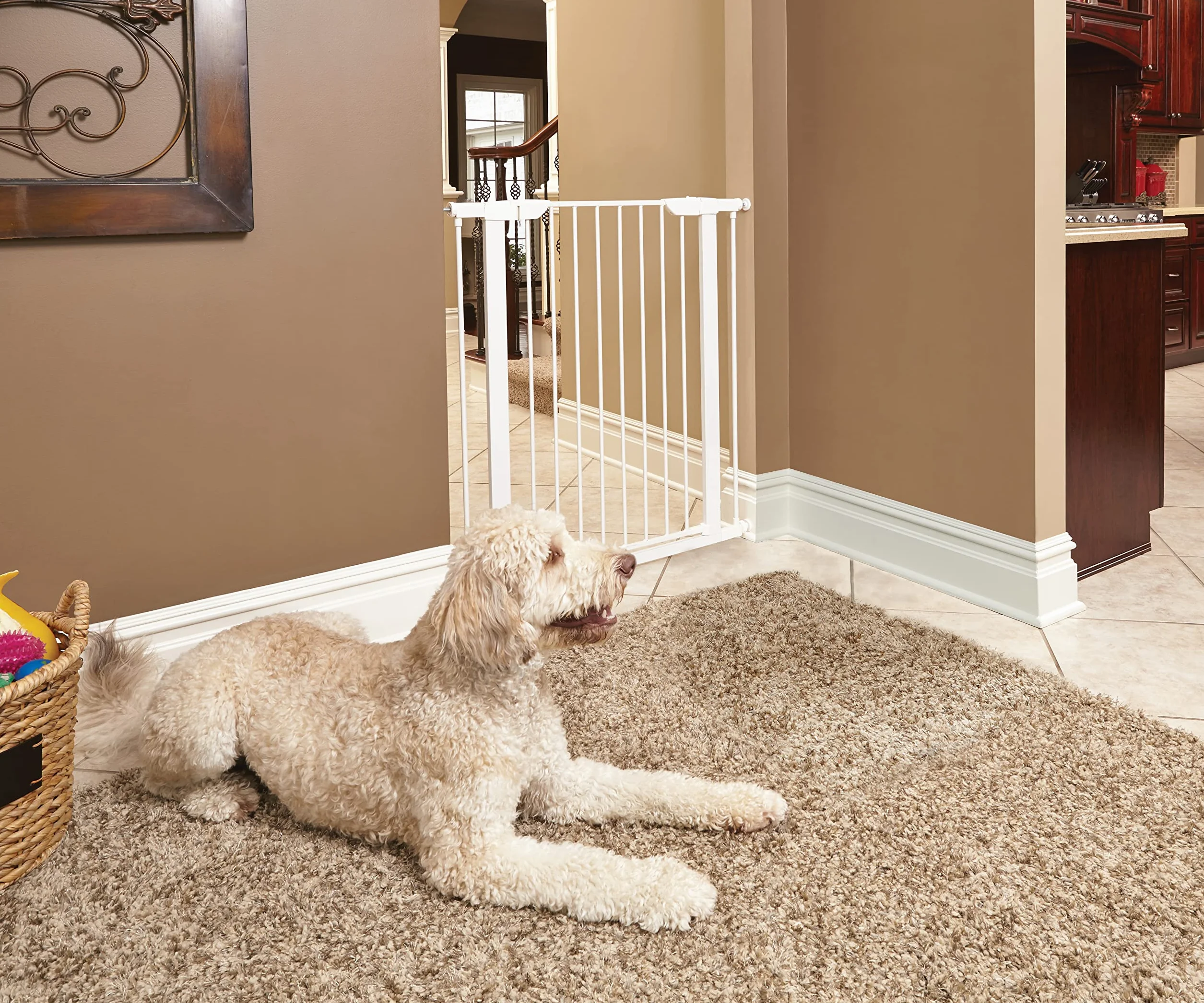 MidWest Homes for Pets - Cancello per animali domestici, altezza 99,4 cm, in acciaio bianco, si espande fino a 96,5 cm di larghezza, include estensioni di 7,6 cm