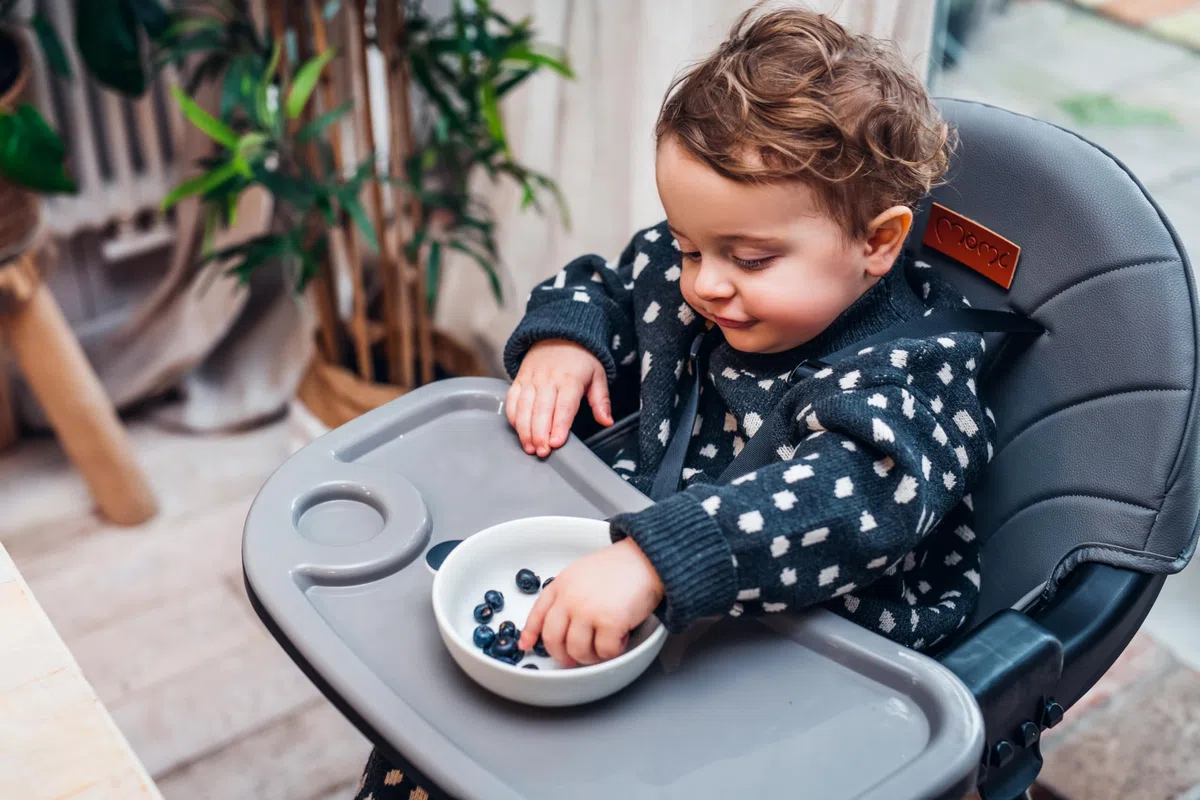 MoMi Seggiolone Pappa Evolutivo 3 in 1 - Sedia Evolutiva per Bambini da 6 a 36 Mesi - Cinture di sicurezza, Rivestimento in ecopelle, Poggiapiedi, Portabicchiere, Gioco con Ventosa - Grigio