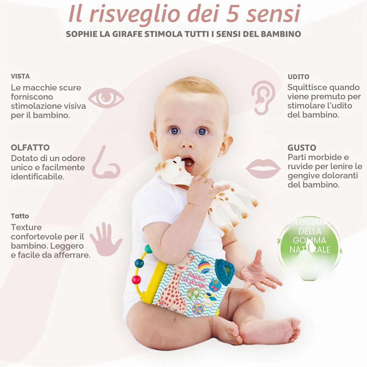 Sophie la Girafe - Cofanetto Nascita Giocattolo + Libro + Sonaglio