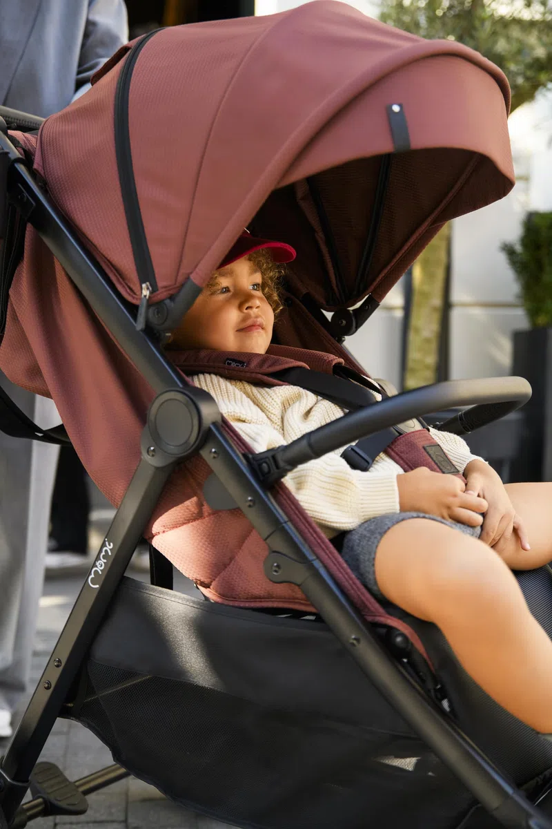 Il passeggino MoMi CLARA a partire da 6 mesi, fino a 22 kg di peso corporeo, cinture di sicurezza a 5 punti, coprigambe, portabicchieri, cestino per la spesa, borsa, zanzariera, telo parapioggia
