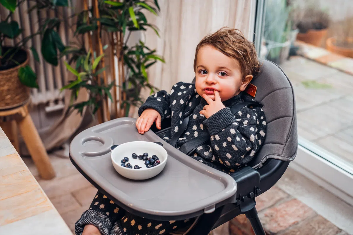 MoMi Seggiolone Pappa Evolutivo 3 in 1 - Sedia Evolutiva per Bambini da 6 a 36 Mesi - Cinture di sicurezza, Rivestimento in ecopelle, Poggiapiedi, Portabicchiere, Gioco con Ventosa - Grigio