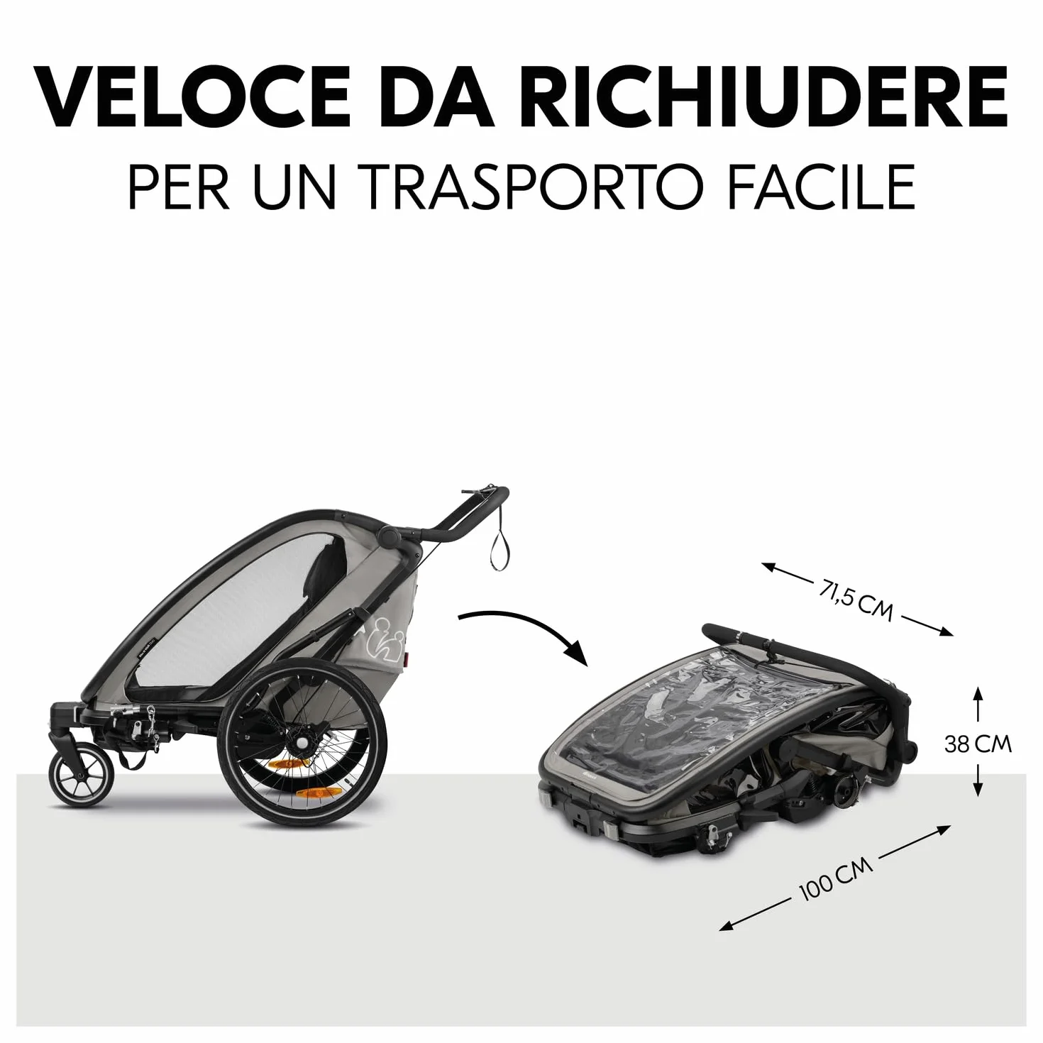 Hauck Bike N Walk Duo 3in1 Rimorchio Bici Bambini 2 Posti 22 kg 120 cm Light Grey