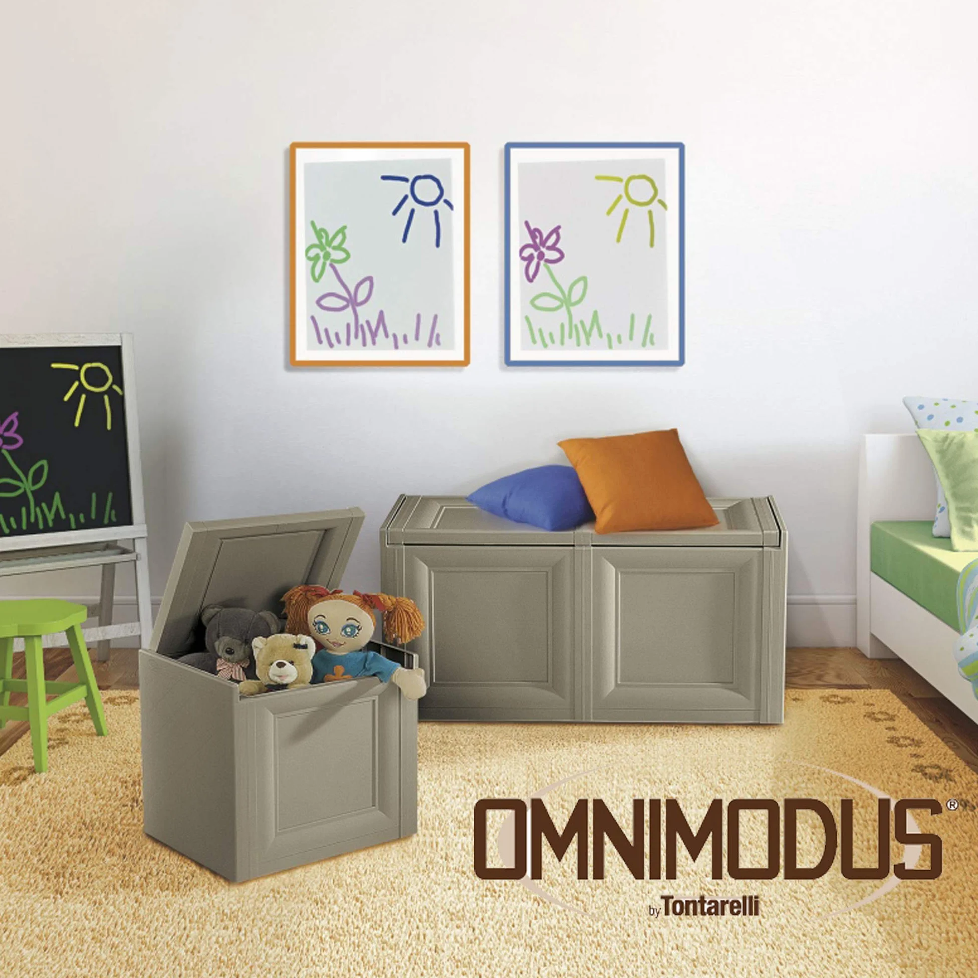 Baule medio omnimodus wengé