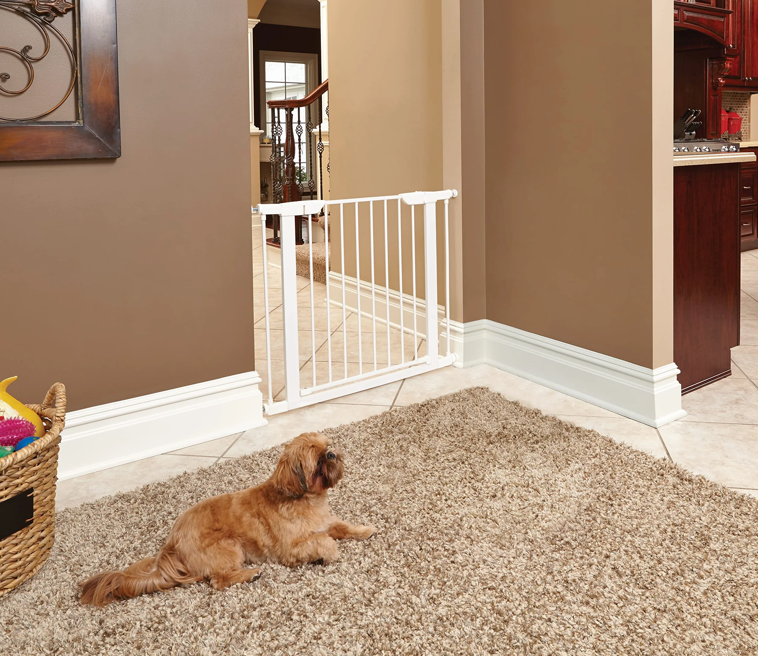 MidWest Homes for Pets - Cancello per animali domestici, altezza 99,4 cm, in acciaio bianco, si espande fino a 96,5 cm di larghezza, include estensioni di 7,6 cm